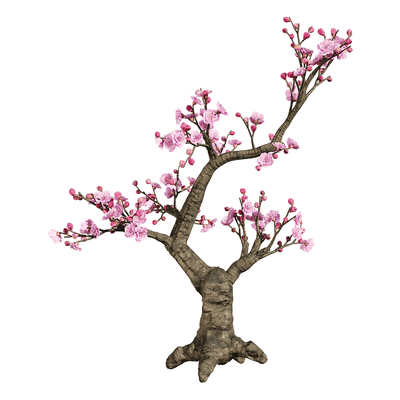 梅花树3D模型（OBJ,FBX,MAX）
