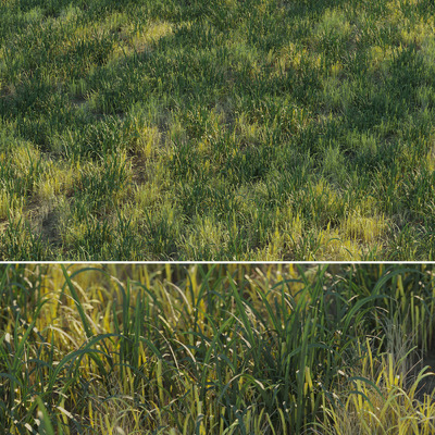 草地3D模型（OBJ,MAX）