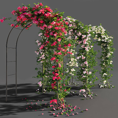 拱形架子上的玫瑰花丛3D模型（FBX,MAX）