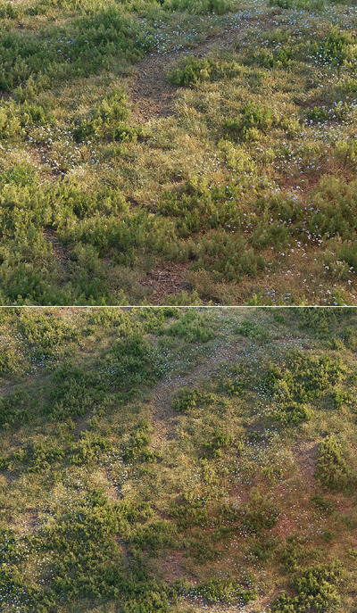 开满小花的草地3D模型（OBJ,MAX）