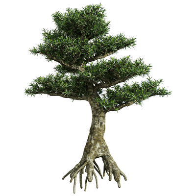 罗汉松树3D模型（OBJ,FBX,MAX）
