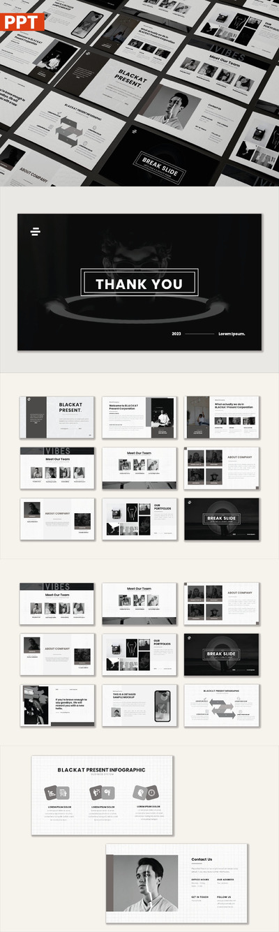 现代高效个性的说服力PPT模版 (PPTX)