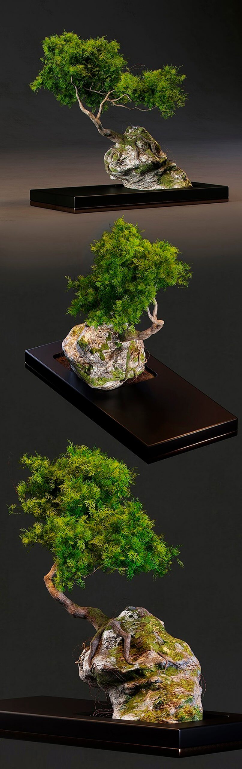 杜松盆栽景观3D模型（OBJ,FBX,MAX）