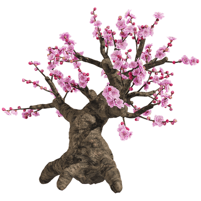 梅花树3D模型（OBJ,FBX,MAX）