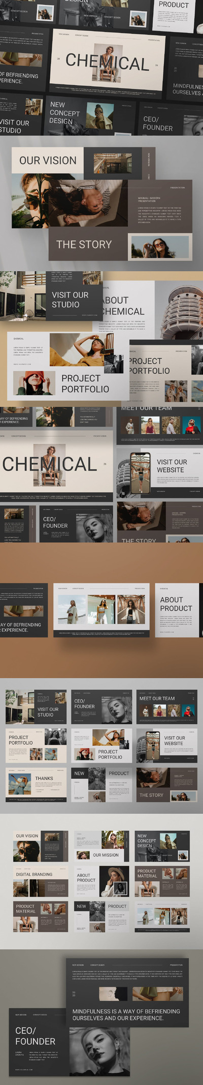 专业技术业务介绍PPT模版 (PPTX)