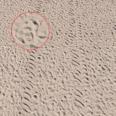 沙滩3D模型（OBJ,FBX,MAX）