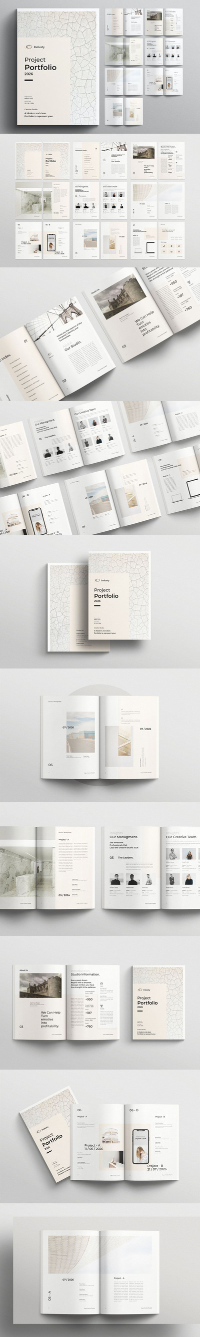 项目组合宣传册模板 (INDD)