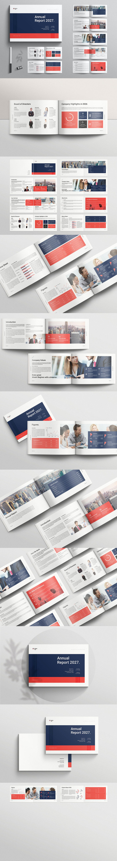 年度报告模板格局 (INDD)