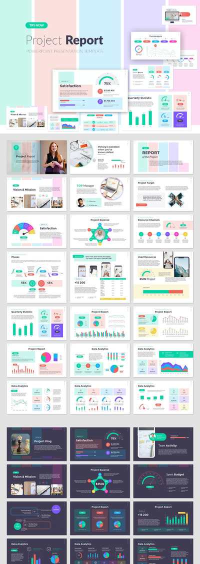 项目报告ppt图表演示文稿模板 (PPTX)