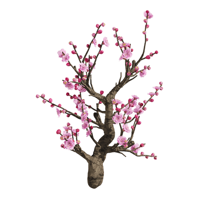 梅花树3D模型（OBJ,FBX,MAX）