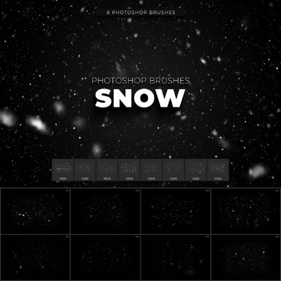 8个雪花Photoshop笔刷 (ABR)