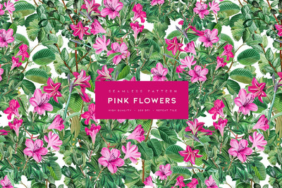 粉红色的花朵 (JPG)