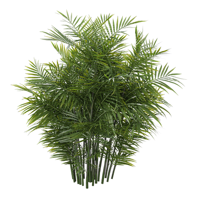 玲珑竹节椰植物3D模型（OBJ,FBX,MAX）