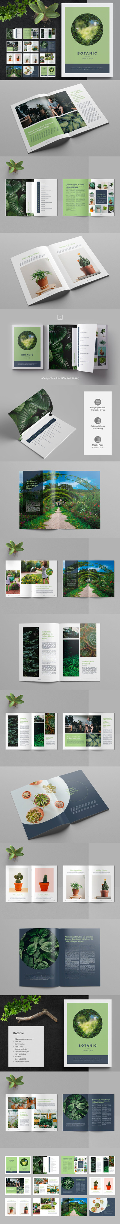 植物种类杂志画册模板 (INDD,PDF)