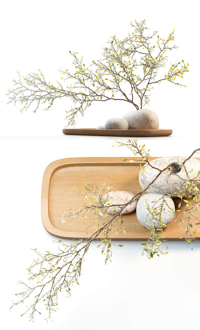 石花瓶中的梅树枝3D模型（OBJ,MAX）