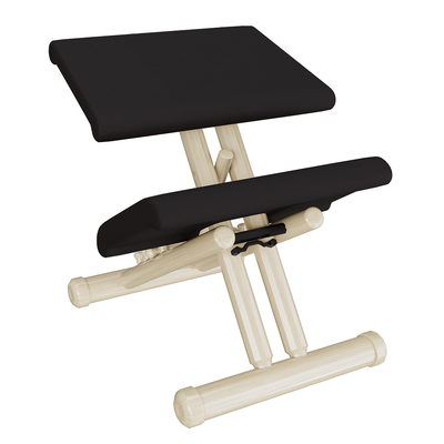 Varier Multi™椅子3D模型（OBJ,FBX,MAX）