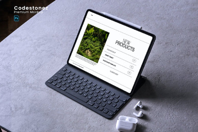 iPad Pro 组合套装 (PSD)