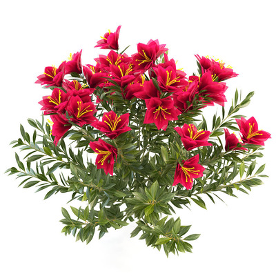 杜鹃花丛 灌木3D模型（OBJ,MAX）