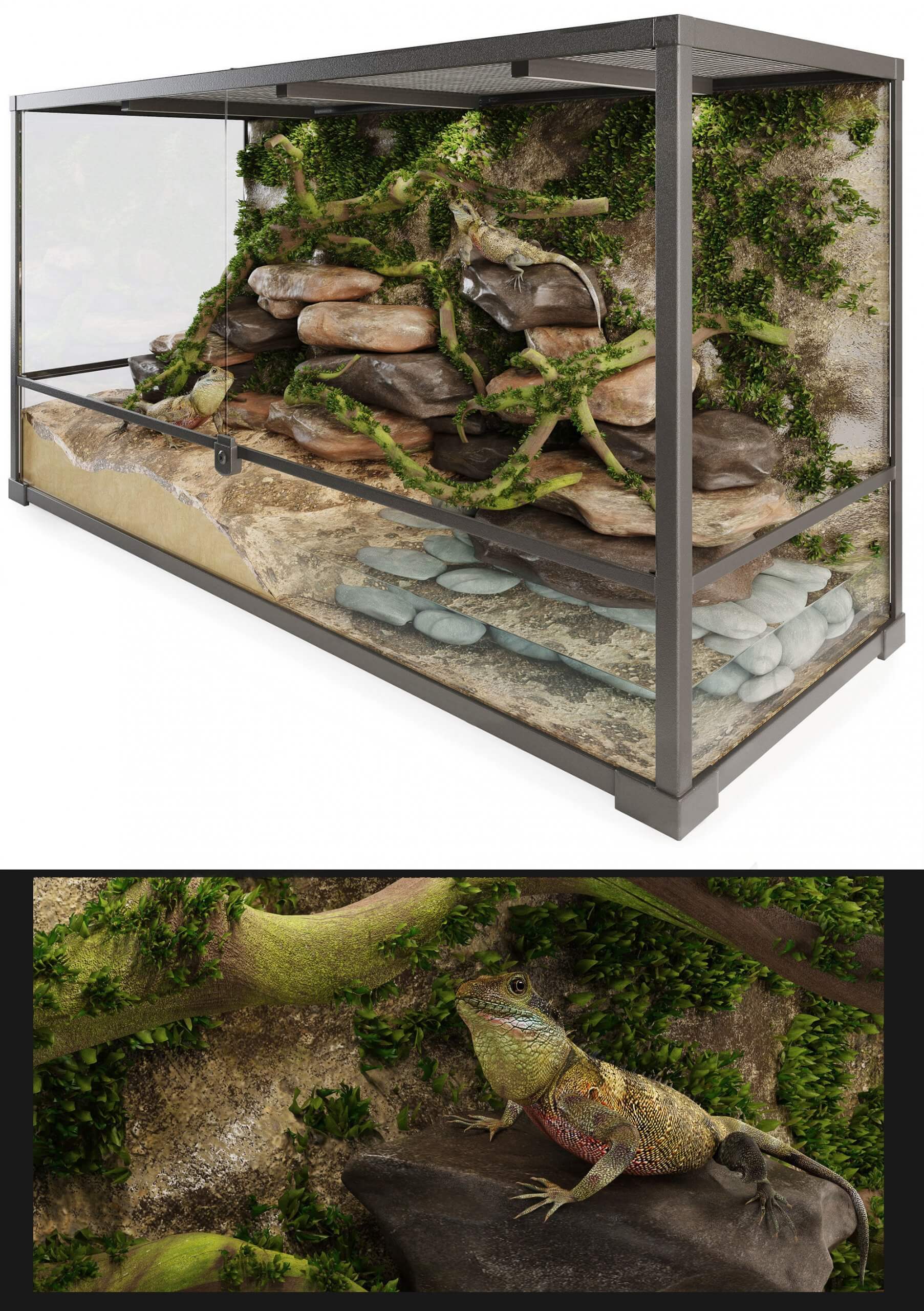 养蜥蜴的鱼缸 水族箱3D模型（OBJ,FBX,MAX）