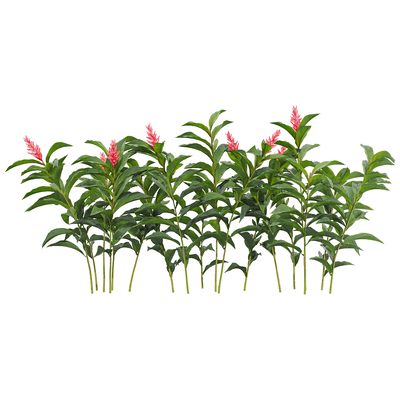 红花月桃植物 花丛3D模型（OBJ,FBX,MAX）