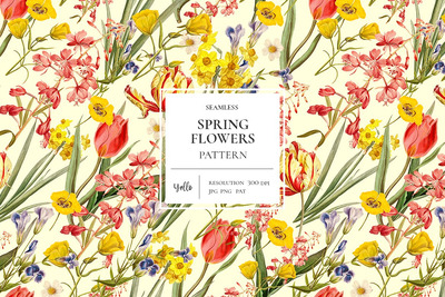 春天的花朵 (JPG,PNG)