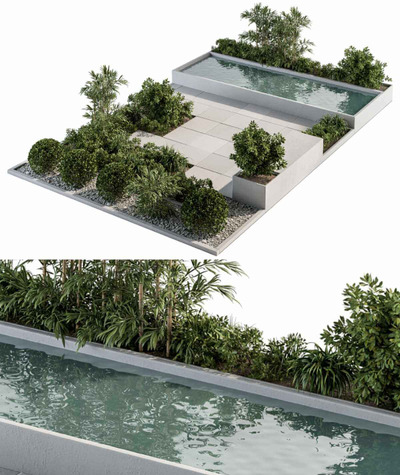 包含水池和绿植的组合景观3D模型（MAX）
