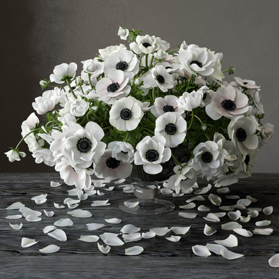 玻璃花瓶中的白色海葵花束 银莲花束3D模型（MAX）