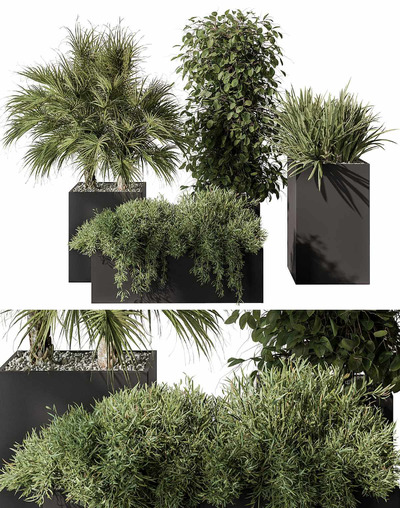 户外绿植花坛组合3D模型（OBJ,MAX）