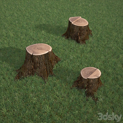 橡树桩3D模型（OBJ,MAX）