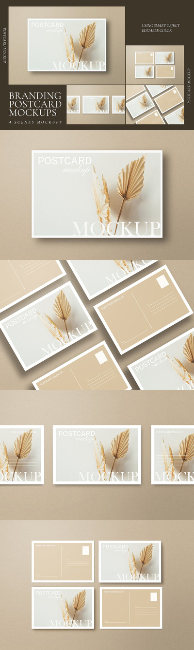 极简明信片样机 (PSD)