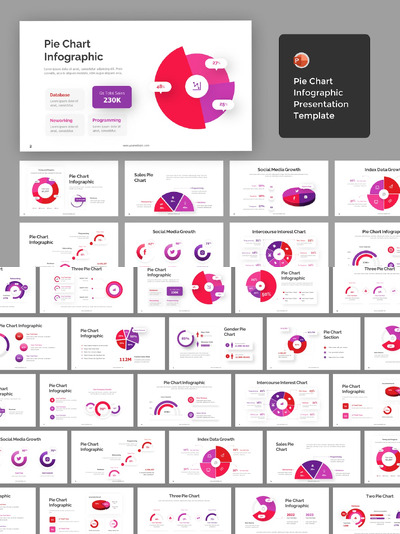饼图数据信息图表 PPT模版 (PPTX)