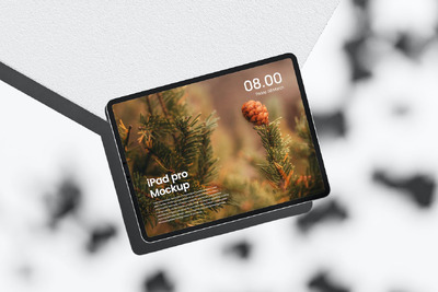 iPad Pro 样机 (PSD,JPG)