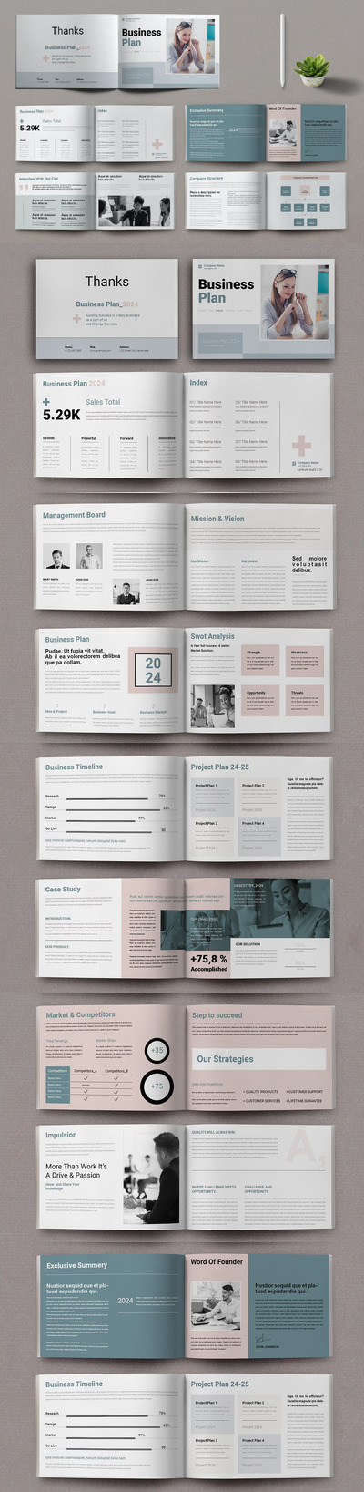 商业计划书画册杂志模版 (INDD)