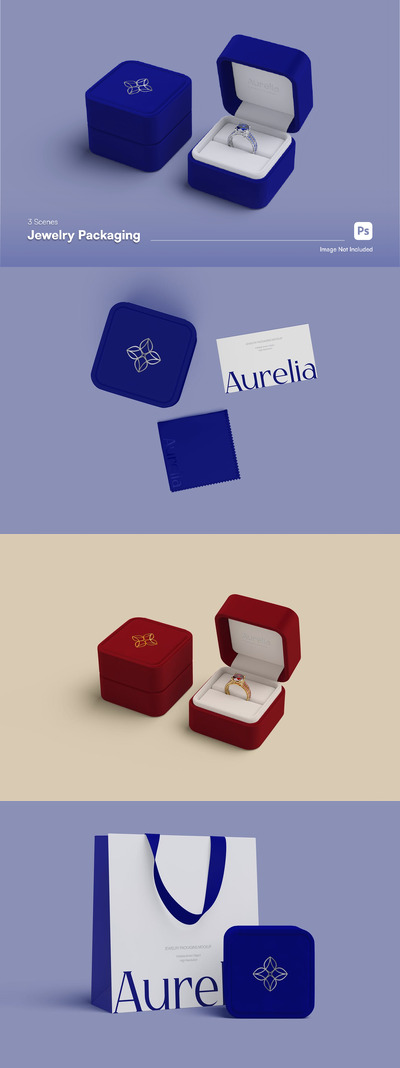 珠宝盒样机 (PSD)