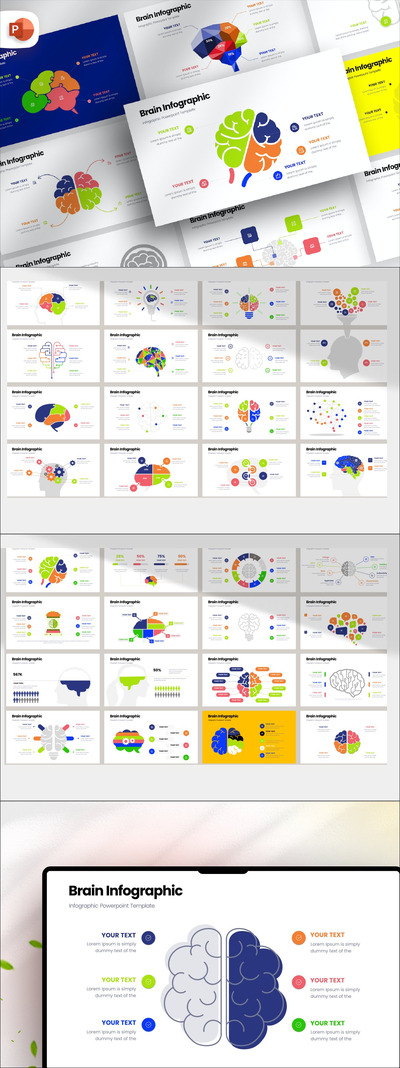 大脑信息图表 PPT模版 (PPTX)