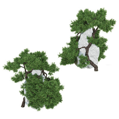 欧洲刺柏景观树3D模型（OBJ,FBX,MAX）