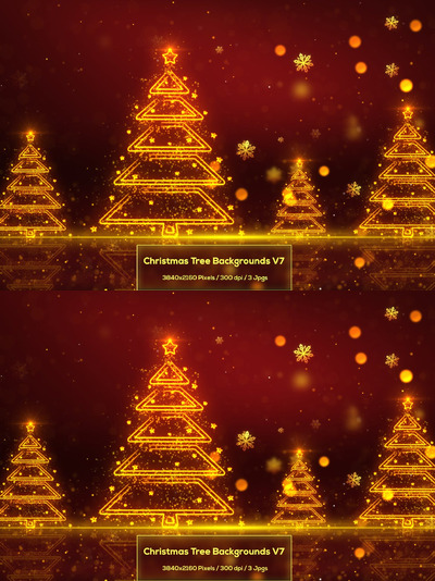 圣诞树背景 V7 (JPG)