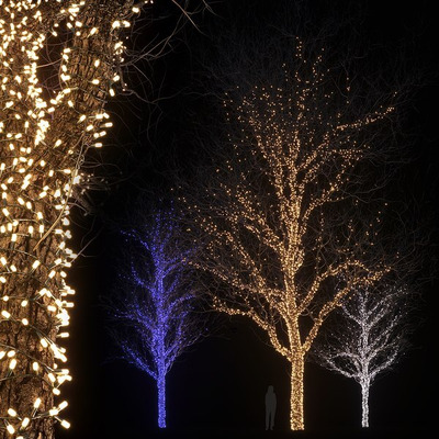 节日被灯装饰的树3D模型（OBJ,MAX）