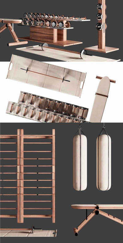 PENT室内健身器材组合3D模型（FBX,MAX）