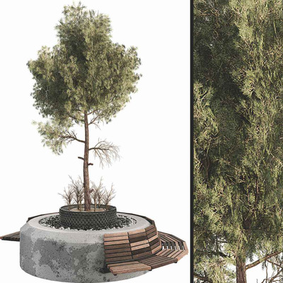 松树花坛3D模型（OBJ,FBX,MAX）