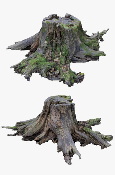 大树桩3D模型（OBJ,FBX,MAX）
