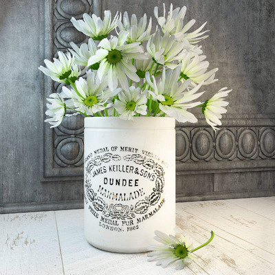 雏菊花3D模型（OBJ,MAX）