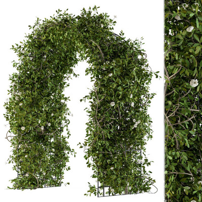 开白色小花的拱形植物凉亭 植物拱门3D模型（OBJ,MAX）