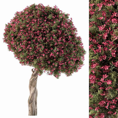 开花的树3D模型（OBJ,MAX）