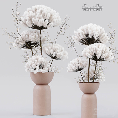 装饰花瓶中的干花3D模型（OBJ,MAX）