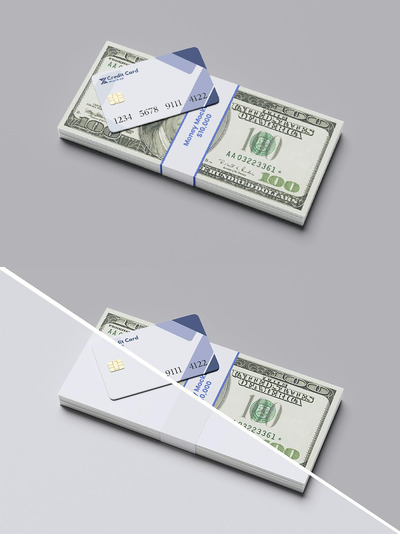 金钱和信用卡样机 (PSD)