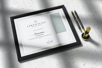 证书样机 (PSD,JPG)