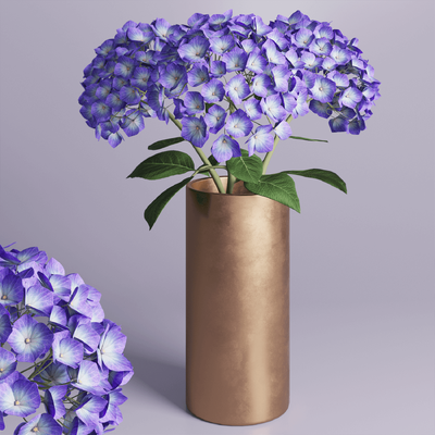 花瓶中的绣球花3D模型（FBX,MAX）