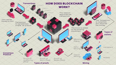 加密货币和区块链技术信息图表元素AE动画 (AEP)