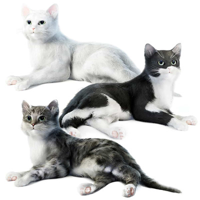 猫3D模型（OBJ,MAX）